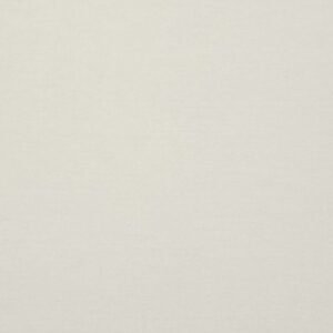 Rullo žalūzijas Carina 4991 gaismu caurlaidīgas