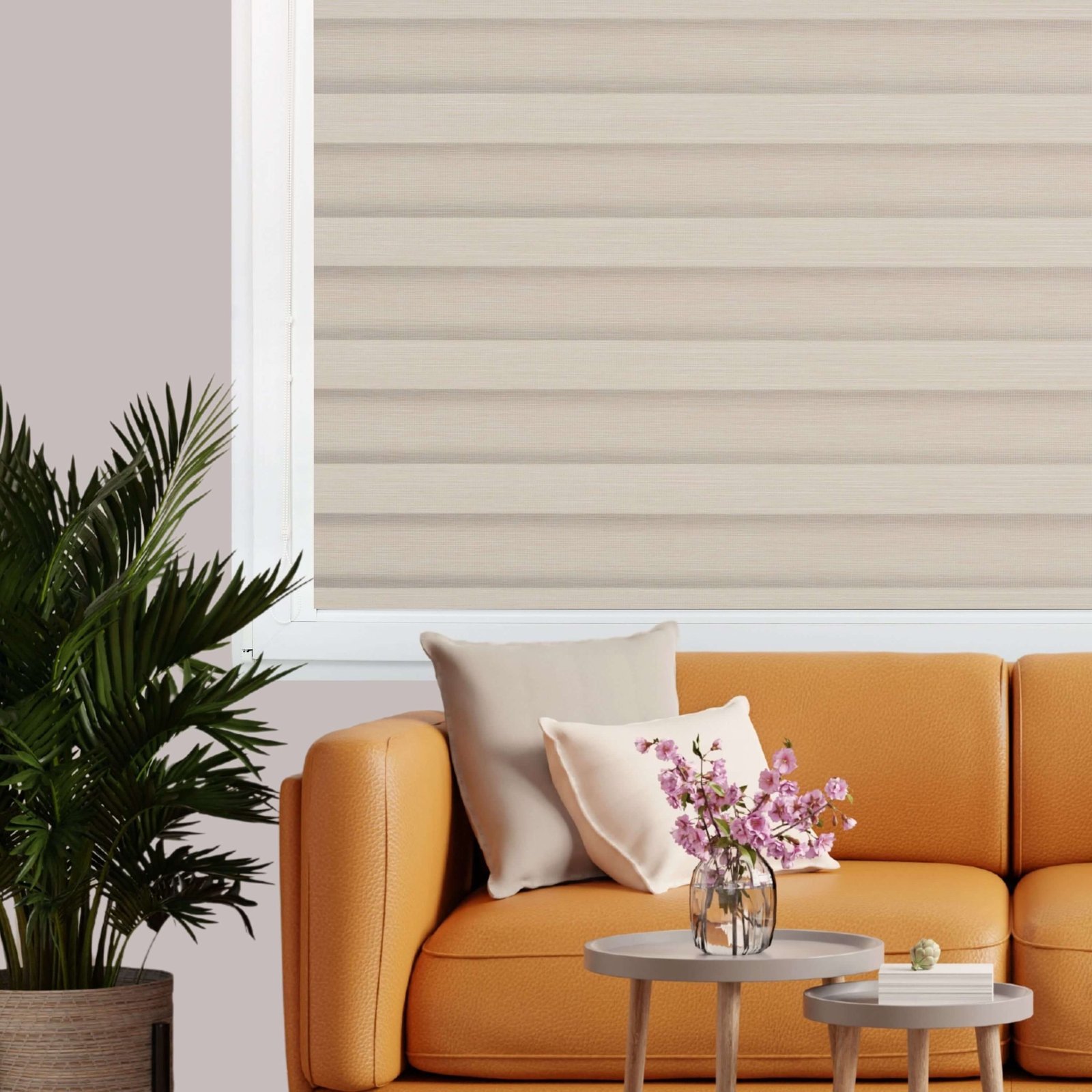 Varavīksne 3007 diena nakts - Image 4