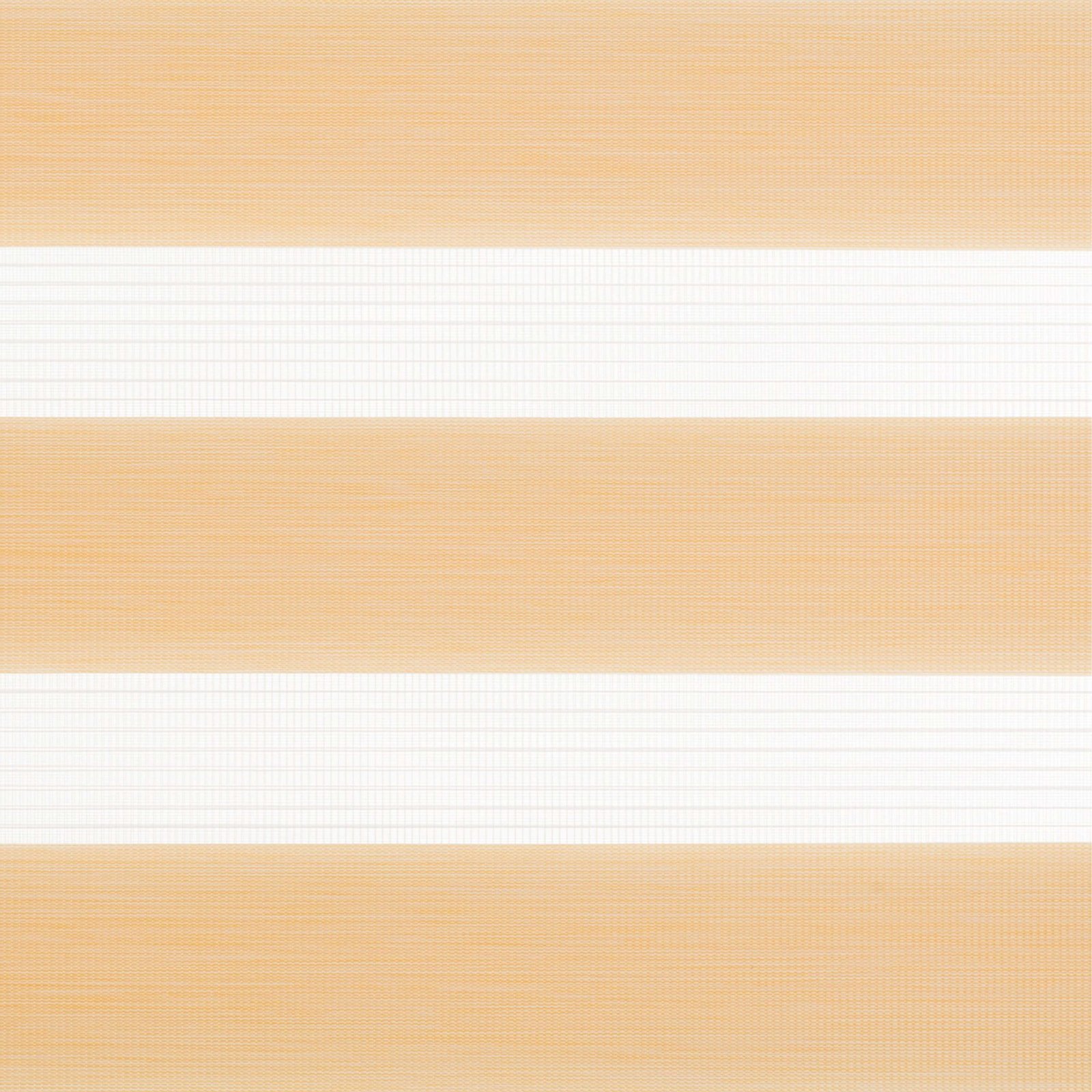 Varavīksne 3008 diena nakts